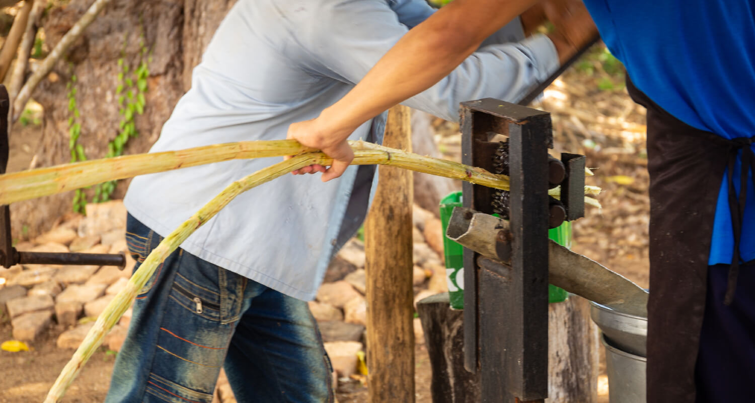 making sugarcane vodka